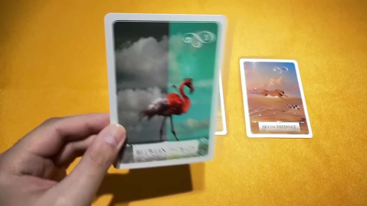 宇宙的重要指引｜塔羅占卜视频封面